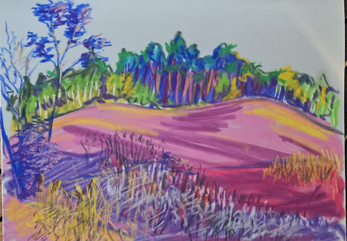 PLASOTA-DARIUSZ-Widok-z-okna-na-lake-Pastel-A3